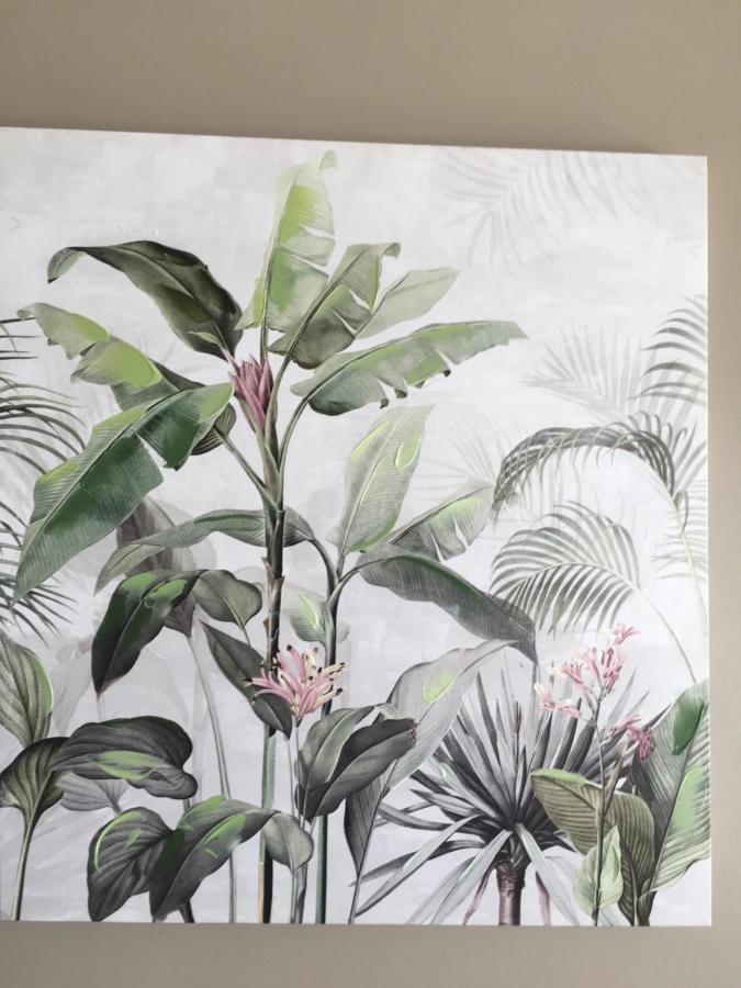 Trois BassinsLe Reve Tropical 974公寓 外观 照片